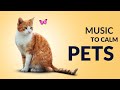 Calm music to relax your pet  528 hz  cats dogs etc