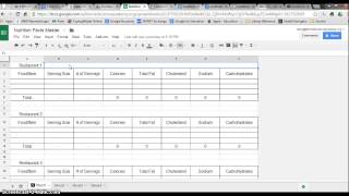 Nutrition Spreadsheet Project screenshot 1