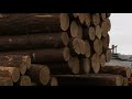 Специальный репортаж "Иркутский лес"