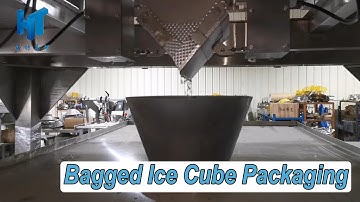 Use multihead weigher and packing machine to package ice cubes.