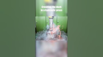 how to deal with the duck in -repo- #repo #funnymoments #gaming