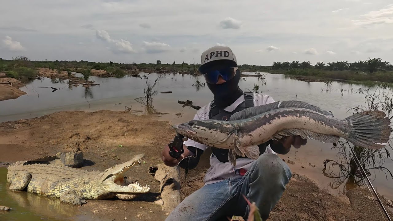 MANCING 3-HARI: DISAPA BUAYA, DITANTANG TOMAN LIAR