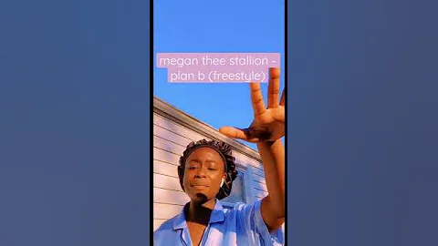 Megan Thee Stallion - PLAN B (Cover) (Freestyle)