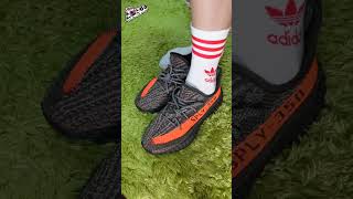 Yeezy 350 Carbon Beluga Size analysis, On feet Review and Ratings