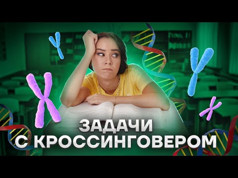 Типы генетических задач в ЕГЭ: как определить? Кроссинговер, сцепление, аутосомы