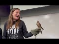 Meeting birds of prey with HawkWatch International