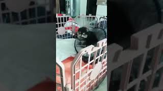 Bts And Yeotan Tanny Best Moments Compilation,