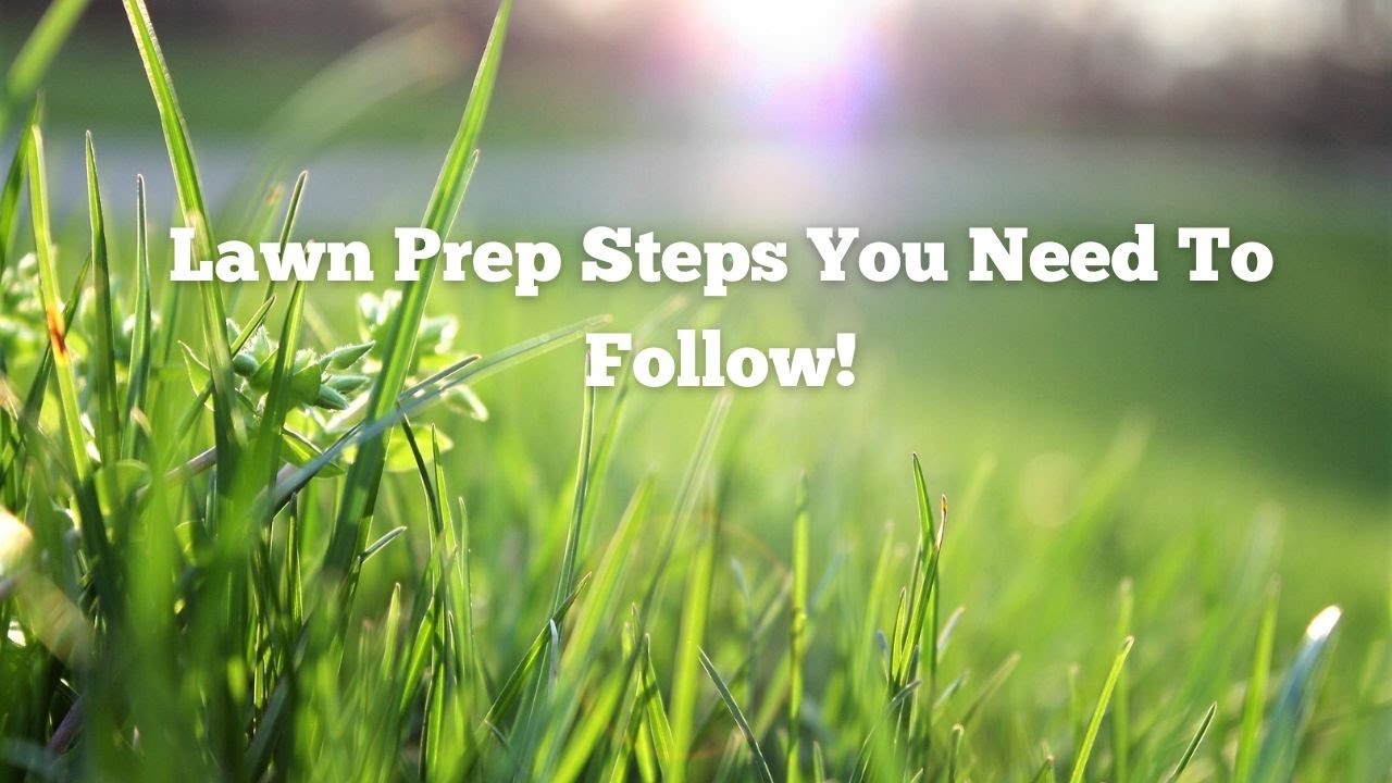 New Lawn Preparation: How to Prep Soil for Perfect Grass Growth: Part 2