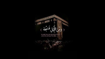 القرآن الكريم - سورة الطور - آلاية [ 49 ] القارئ | ماهر المعيقلي