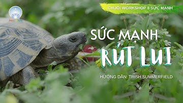 1.Sức Mạnh Rút Lui  | Trish Summerfield | Inner Space
