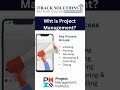 What is #projectmanagement as per #pmi #pmbok ?