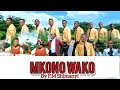 MKONO WAKO BY F M SHIMANYI KWAYA YA MT PAPA YOHANE PAULO WA PILI UDOM 