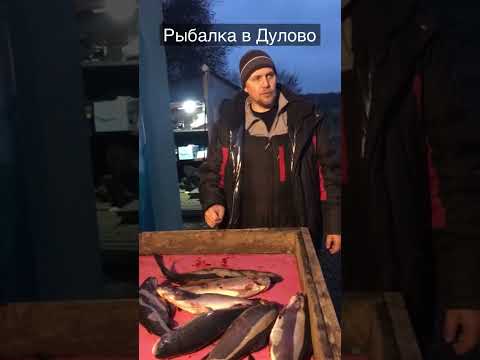 Отзыв о рыбалке