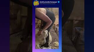 @Budublaj Kurban Bayramınız Mübarek Olsun! #shortvideo #komikyorumlar #komikvideolar #shorts – Komik Yorumlar Konuşuyor – YouTube'da #9 trend