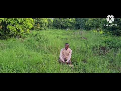 Ilmii Nama Amma Ammaa New Nashiidaa Miftaa Qamar 