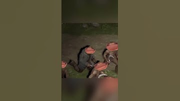 POV Modded server.exe #rust #shorts #rustmeme