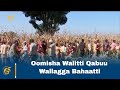 Oomisha Walitti Qabuu Wallagga Bahaatti