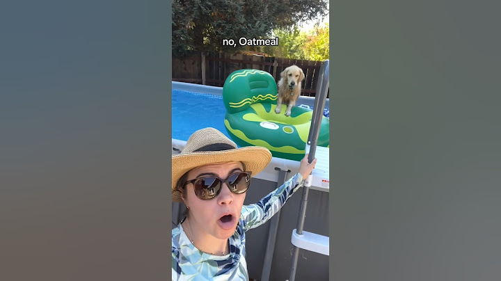 This was a rollercoaster from start to finish #PoolTime #SwimmingDog #goldenretriever #summervibes
