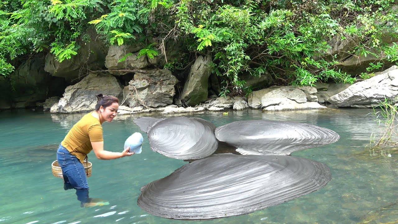 Mutated pearl clams gather in the water, as if guarding a huge treasure, which is truly rare