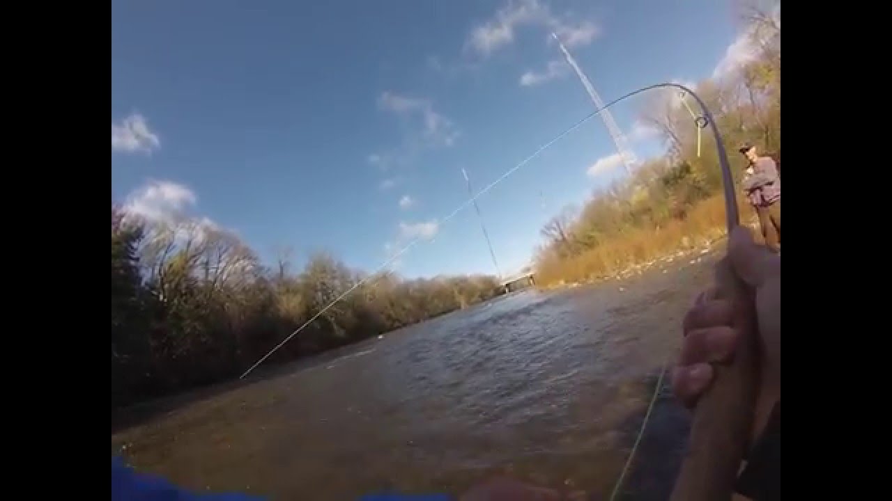 Fly Fishing Milwaukee River Salmon YouTube