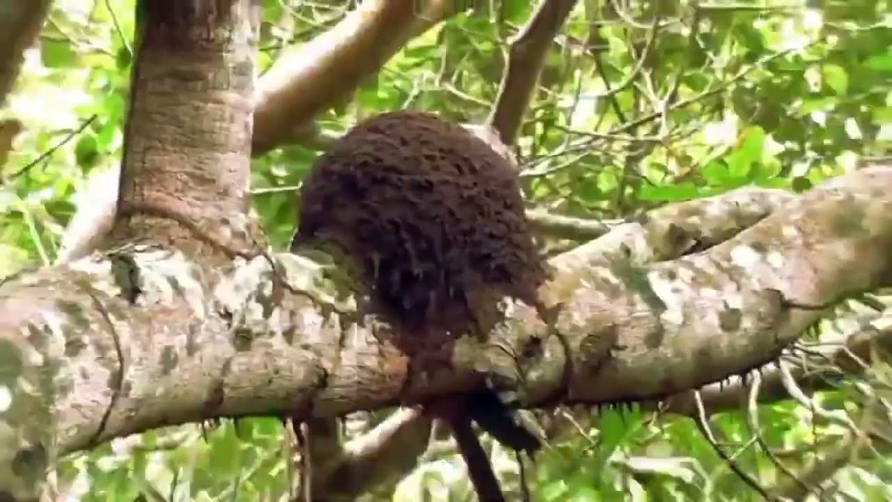 INIKPI:  Sacrifice of Redemption (Episode 14)