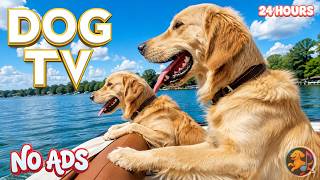Dog TV 24/7: Best Calming Music for Dogs to Reduce Stress & Boredom | Videos for Dogs Home Alone