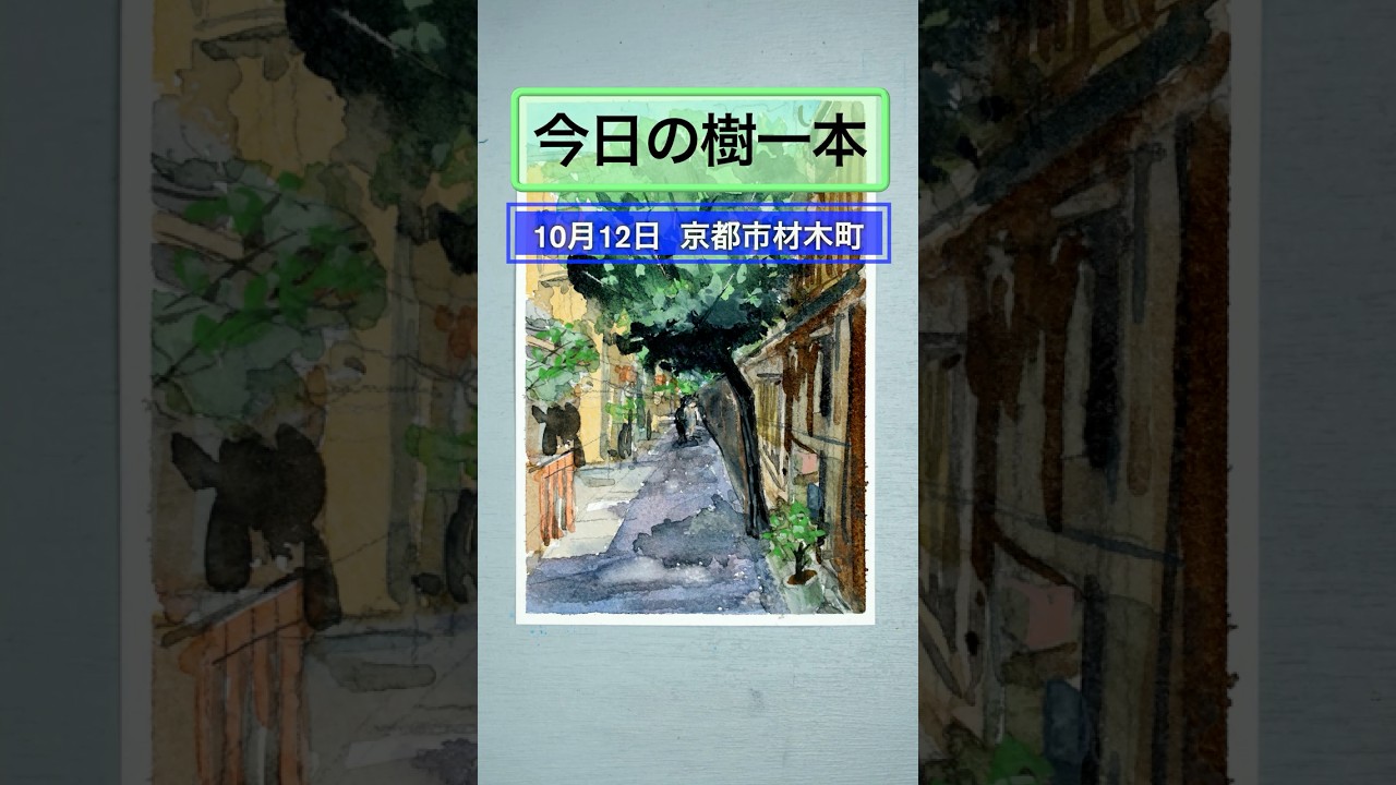 透明水彩絵具で描く風景画「京都市材木町の木」今日の樹一本（10月