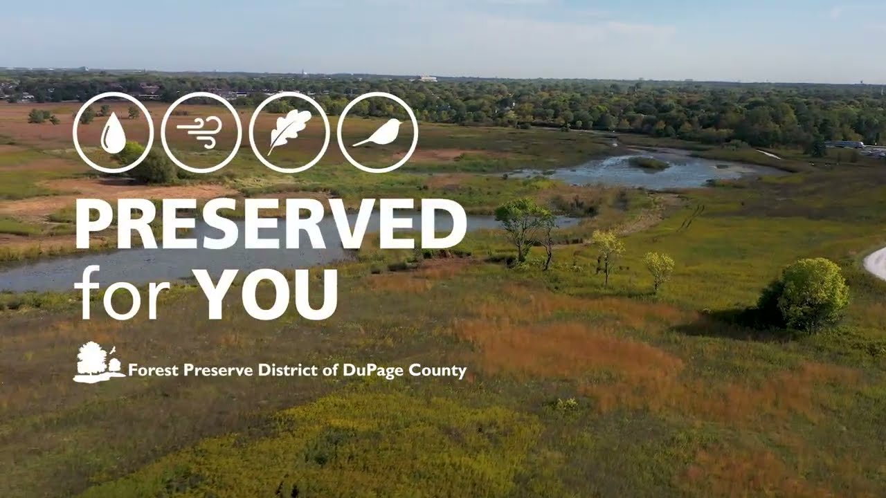 Продолжаются реставрационные работы в лесном заповеднике Спрингбрук-Прери