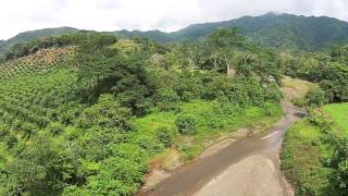 Costa Rican Agriculture