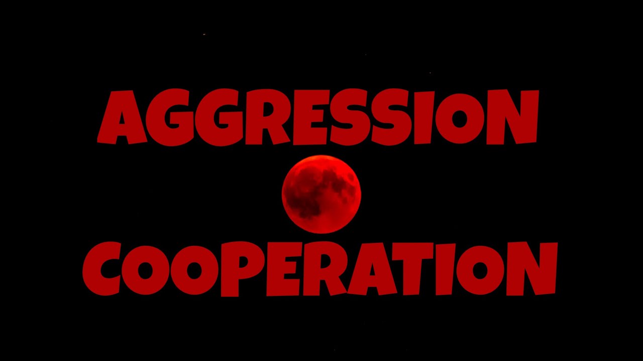AGGRESSION vs COOPERATION - An Evolutionary Analysis