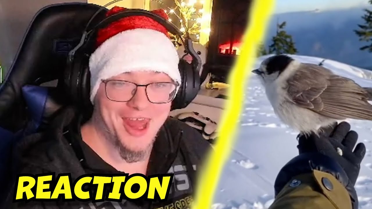 Nicht Lachen Challenge XXL Weihnachtsspezial | Try Not To Laugh Challenge | REACTION | Deutsch