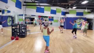 Loggerhead Fitness - Zumba Silver