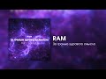 RAM — За гранью здравого смысла