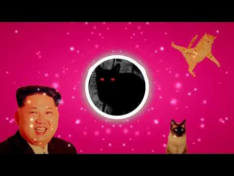 кошка на улице. котята на рабочий стол. слово котенок. если в доме нет кота стихотворение. приколы с котами.