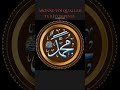 #الرحمن notre prophète Muhammad SWS 🥰🥰🥰🥰