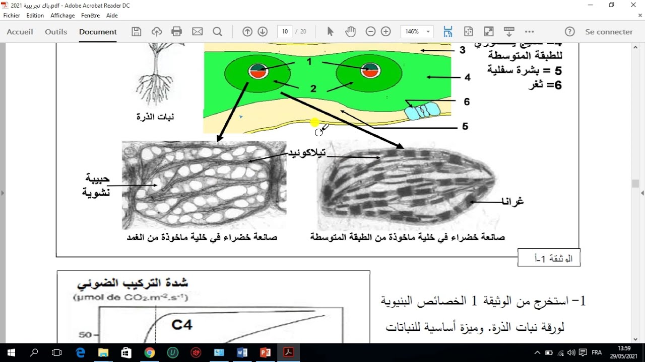 العرض 1 من باك تجريبي 2021 ثانوية حباشي ع القادر الشلف