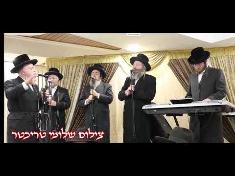 מעמד אדירי התורה בירושלים סערט ויזניץ