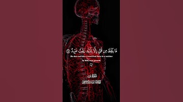 ولقَد خلقنَا الإنسانَ ونَعلمُ ما تُوَسوسُ به نفسُه | القارئ إسلام صبحي #تلاوة_خاشعة