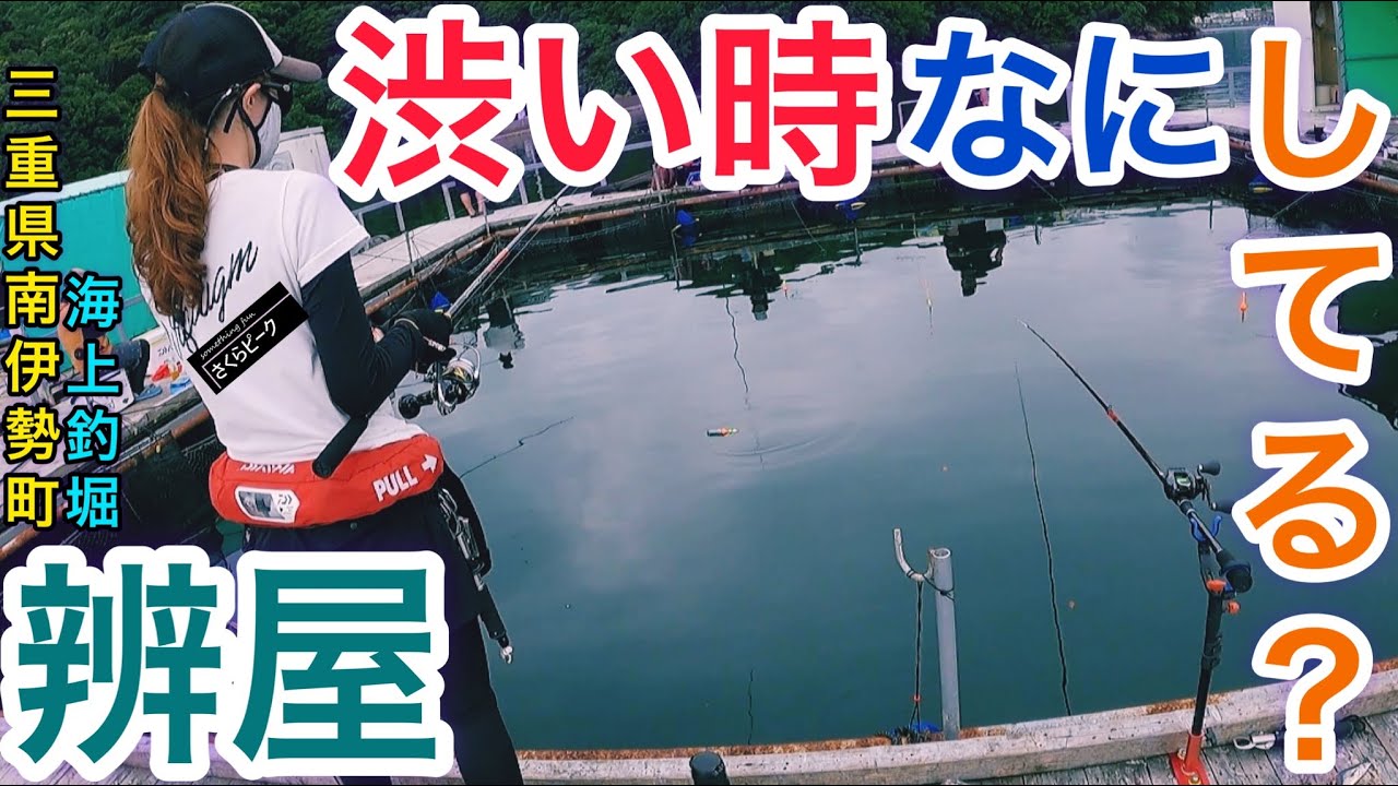 【釣り】知りたい！渋い時何してる？海上釣堀『辨屋』(三重県南伊勢町)