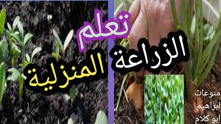 تعلم الزراعة المنزلية بكل سهولة للمبتدئين