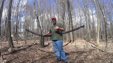 My bugnet for my hammock