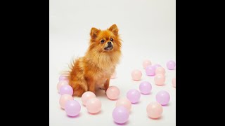 Beginner Tricks With Jane