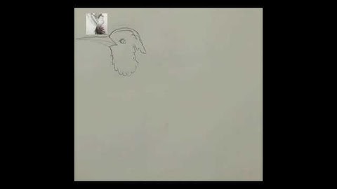 how to sketch humming bird || bird sketch || bird drawing #shorts #youtubeshorts #viral #birds