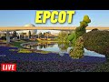  live epcot friday and all things we can do in epcot 532024