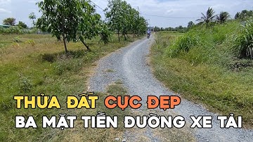 Ms 0245 Thửa đất quá đẹp 2293 m có 700 thổ cư 3 mặt tiền đường xe tải xã Tân Lân Cần Đước Long An