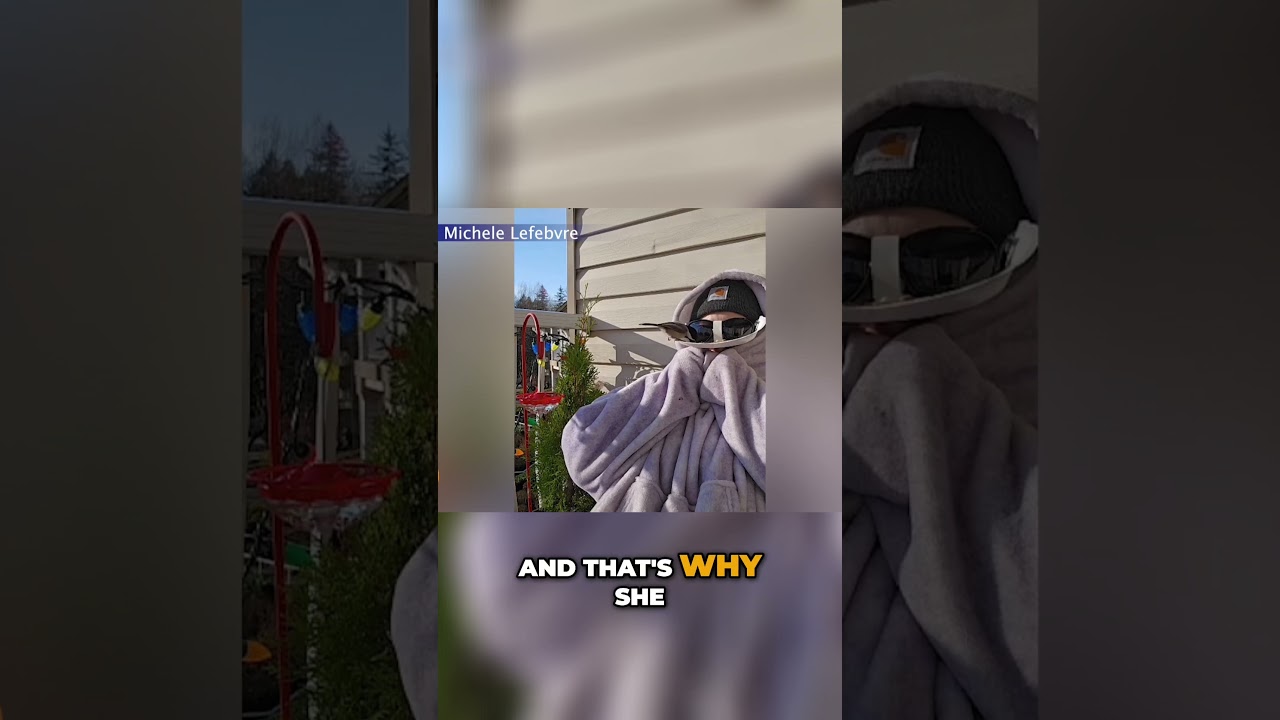 Camouflage Yourself To Watch Birds!