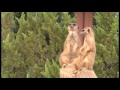 徳島市総合動植物公園（とくしま動物園・とくしま植物園）