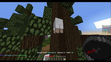 Bug/Map Exploit Report - PigglstenZaEvil & MAXIMUM_ILLUSION (Sheep Wool Climb)