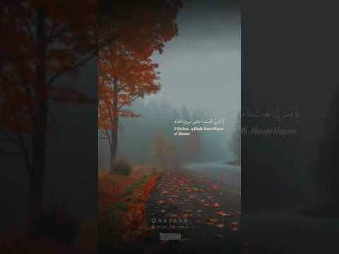 كم قد جمعنا من الدنيا وصارت ح طام تصميم فيديوهات حالات واتس ستوريات سجاد شيلات 