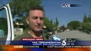 Bear Almost Attacks Man